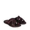 ST SANTA 2818 Marron/Brown-1