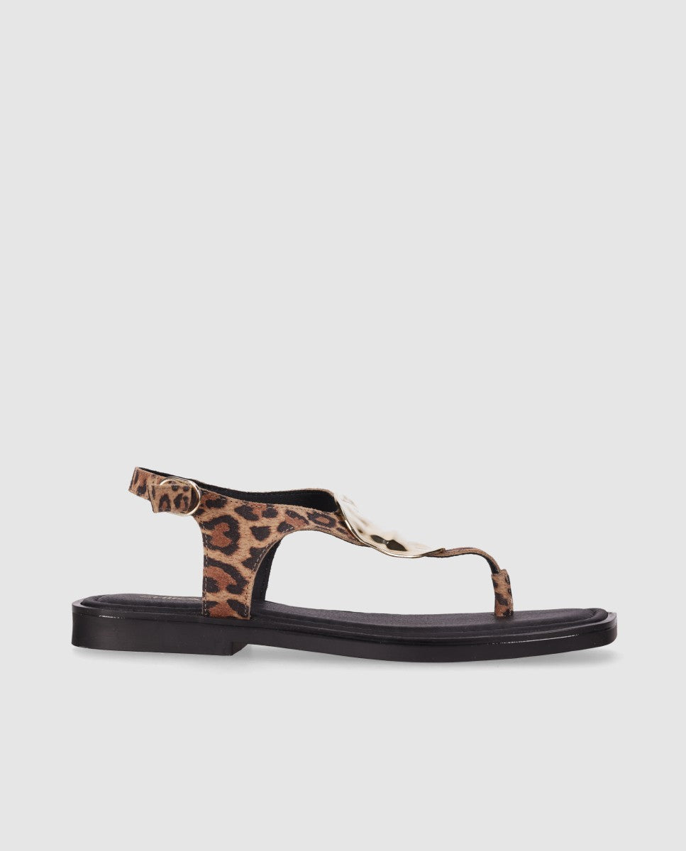 ST DAWA 02 Leopardo/Leopard-0