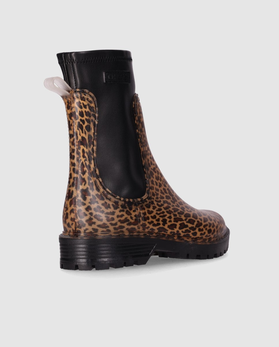 RAIN 11 Leopardo/Leopard-2