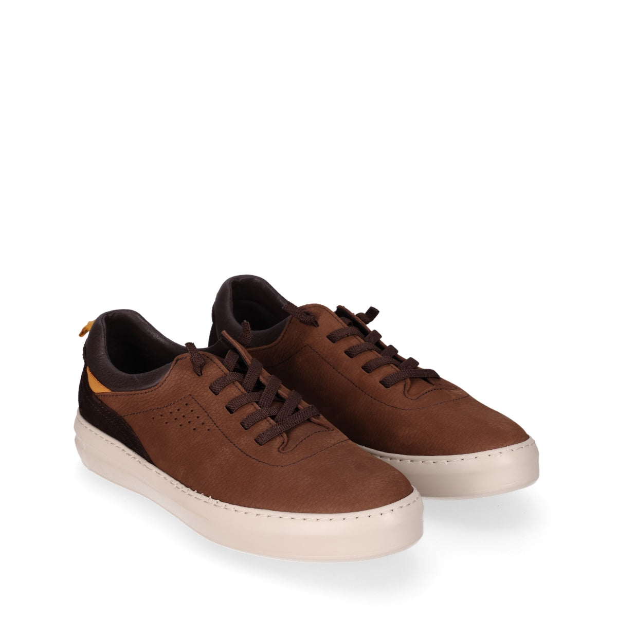 Brown-1