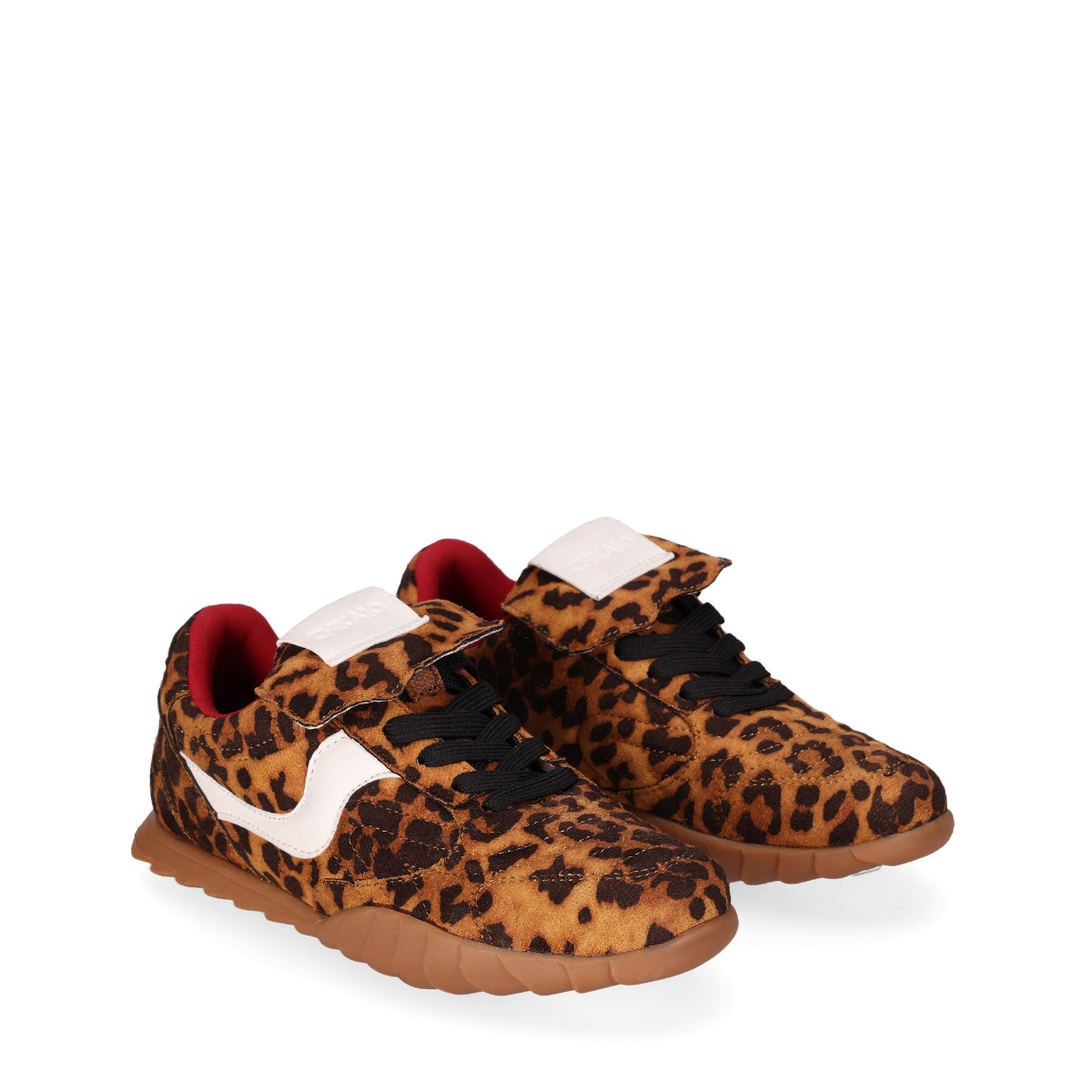 Leopard-1