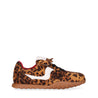 DUNIA 01 Leopardo/Leopard-0