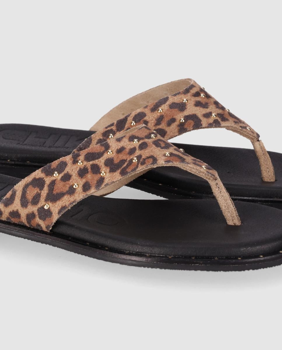 MOCHIMA 05 Leopardo/Leopard-4