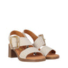 NEW GOTICA 04 Beig/Beige-1