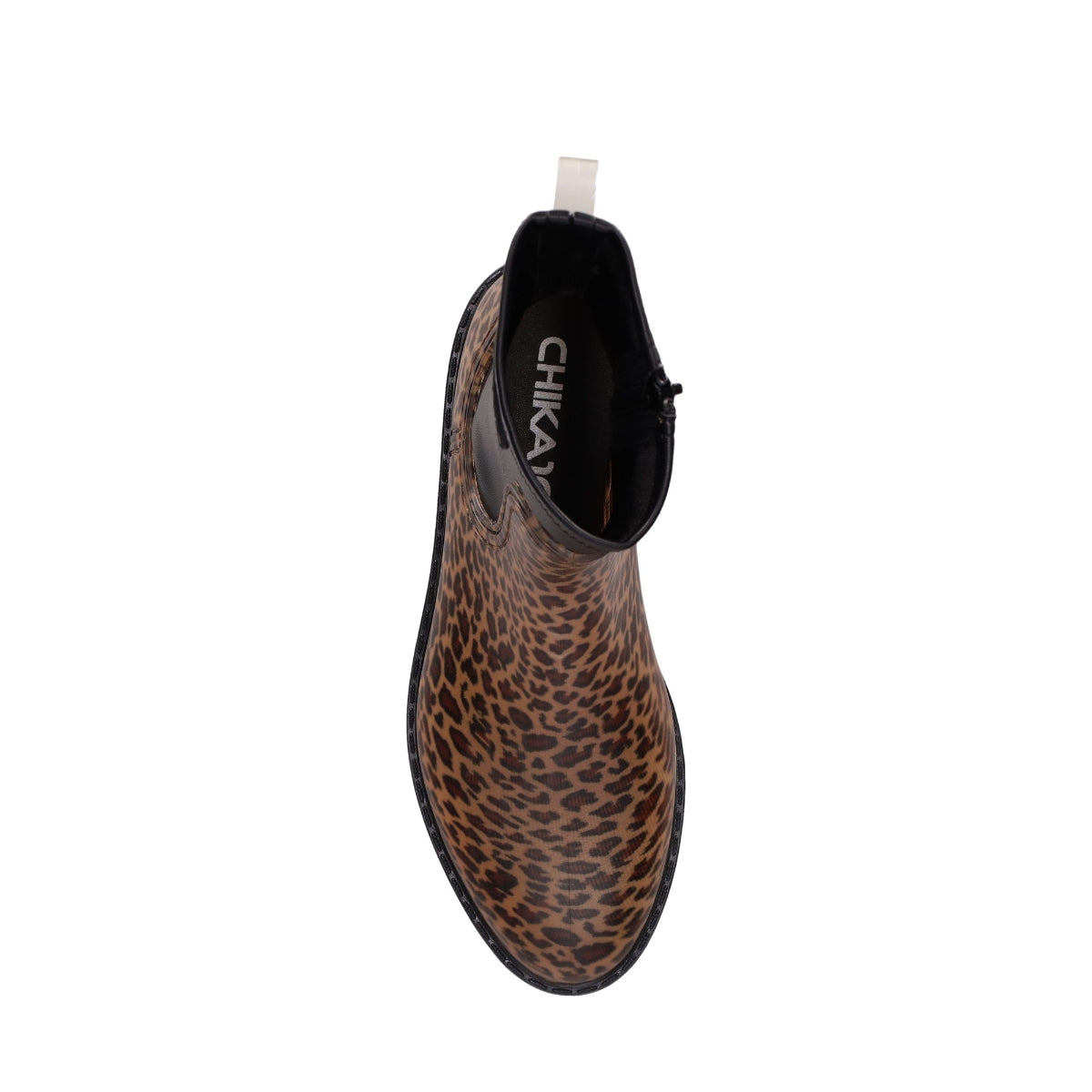 RAIN 11 Leopardo/Leopard-3