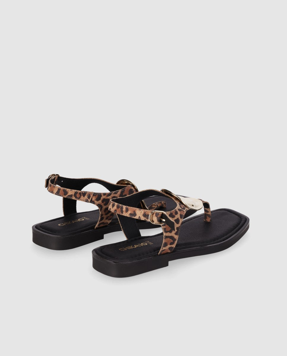 ST DAWA 02 Leopardo/Leopard-2