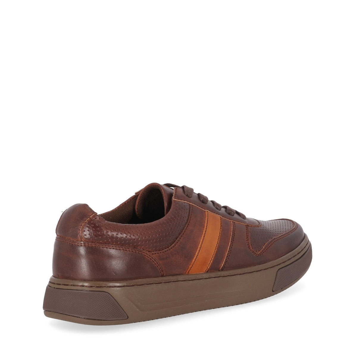 OPERA 01 Marron/Brown-2