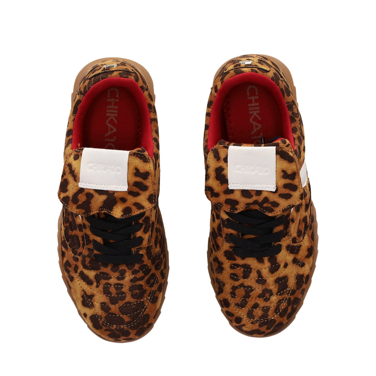 DUNIA 01 Leopardo/Leopard-3