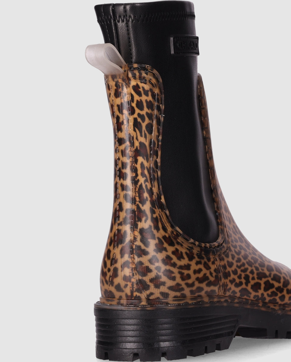 RAIN 11 Leopardo/Leopard-4