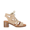 NEW GOTICA 05 Beig/Beige-0