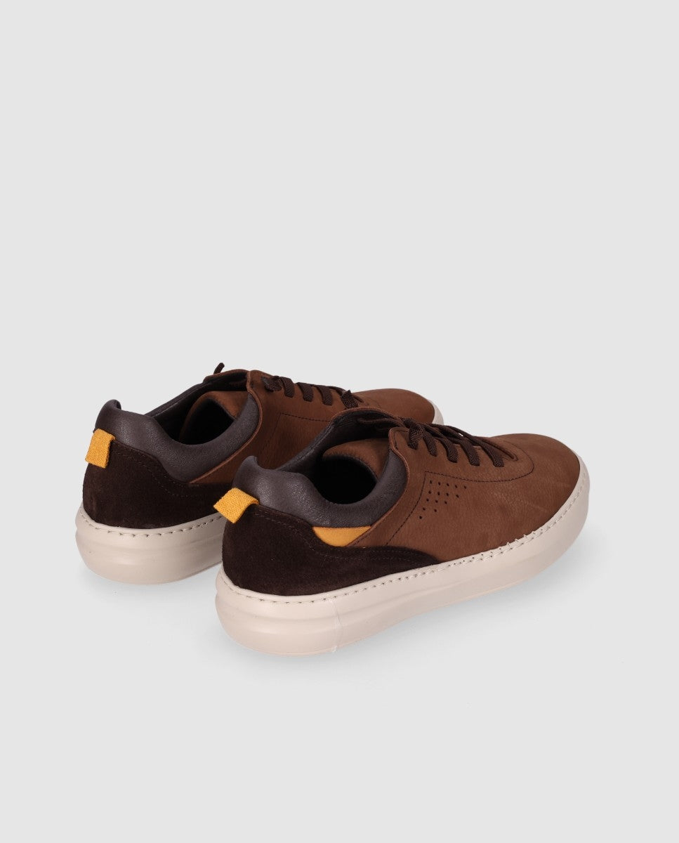 ST MORELLA 4196 Marron/Brown-2